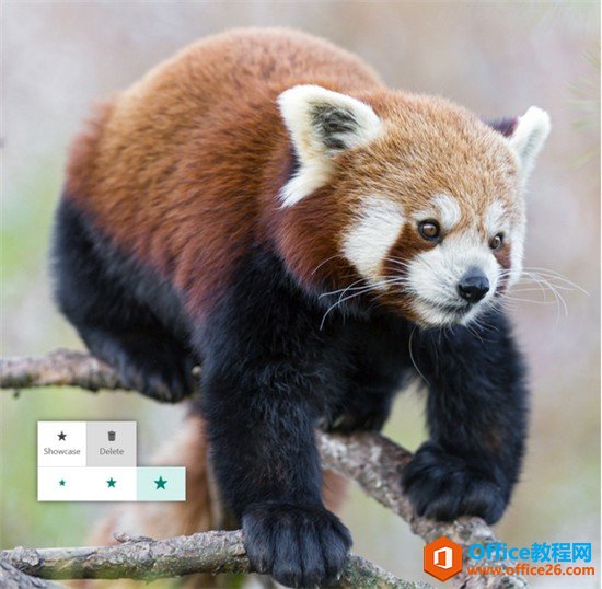 Office Sway 应用是什么，有什么功能？