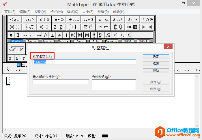 图2：MathType中标签属性