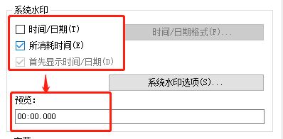 系统水印显示格式设置界面