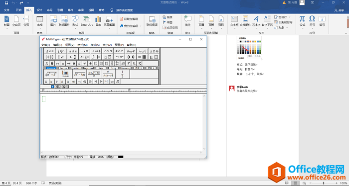word中的MathType编辑框