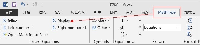 MathType选项