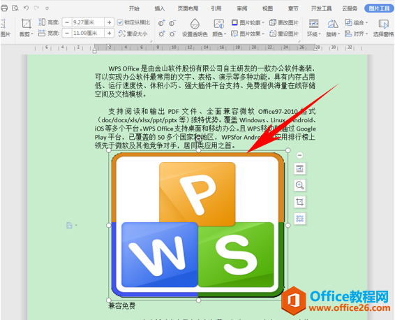 WPS word图片插入文档为何不能完全显示