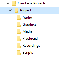 图2：Camtasia文件夹结构