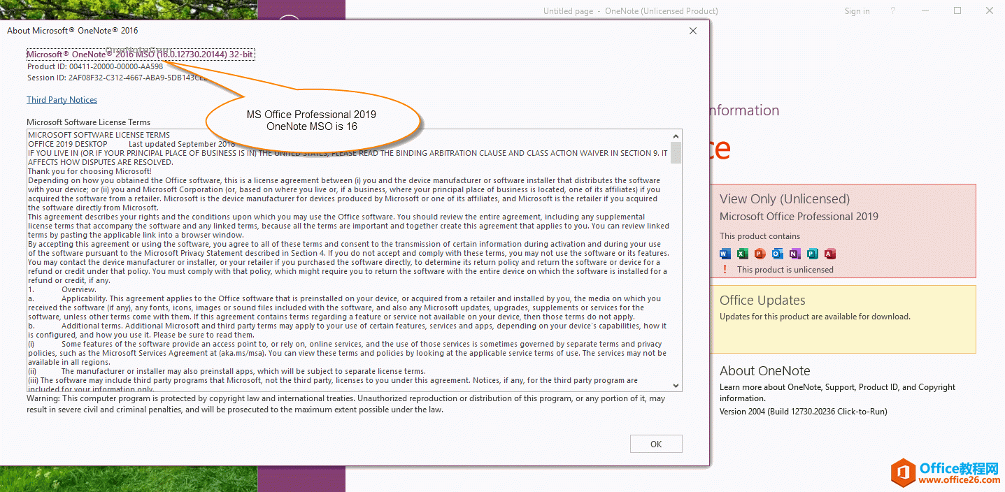 Microsoft Office Professional 2019里的OneNote的MSO版本号是16.0