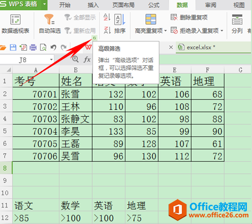 WPS表格如何运用筛选与高级筛选