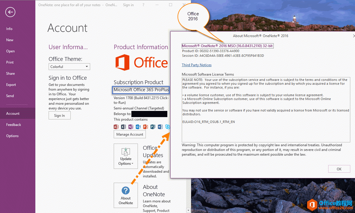 2016 版的 Office 365