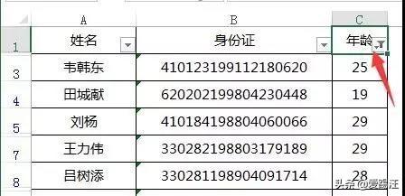 经常使用的Excel筛选功能，但是你有没有注意到Excel这个小技巧？