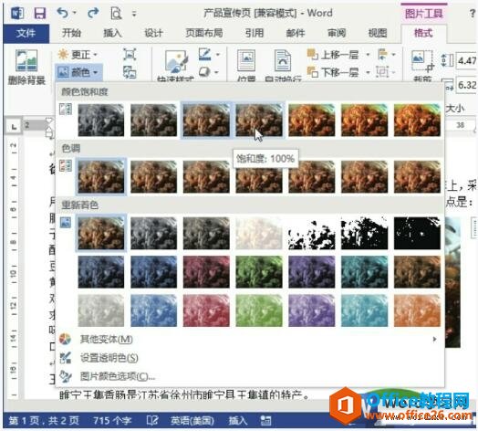 word2013设置图片饱和度