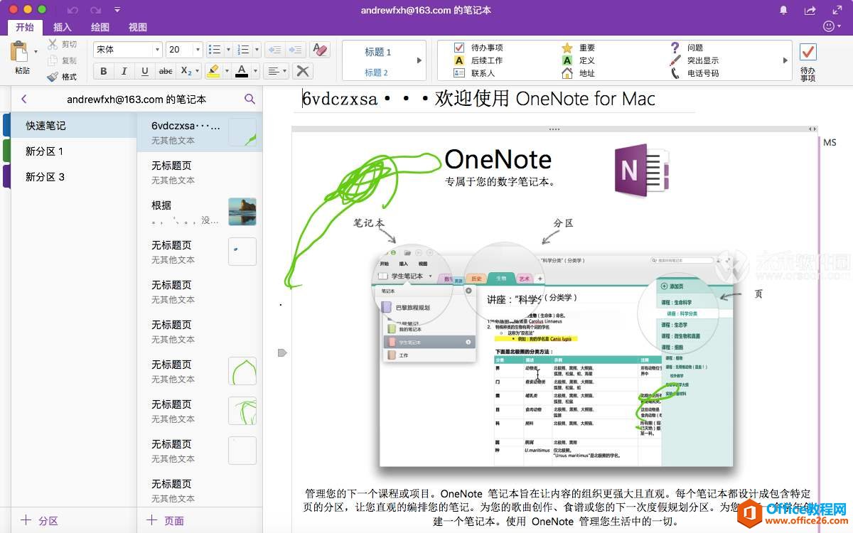 OneNote 如何同时设置中英文字体显示 雅黑+Consolas字体