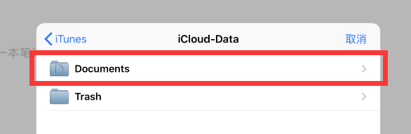 GoodNote4如果误删了iCloud备份数据导致本地文件全无，该如何补救？