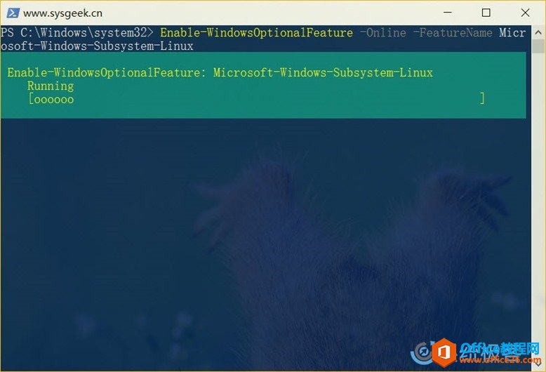 Microsoft-Windows-Subsystem-Linux