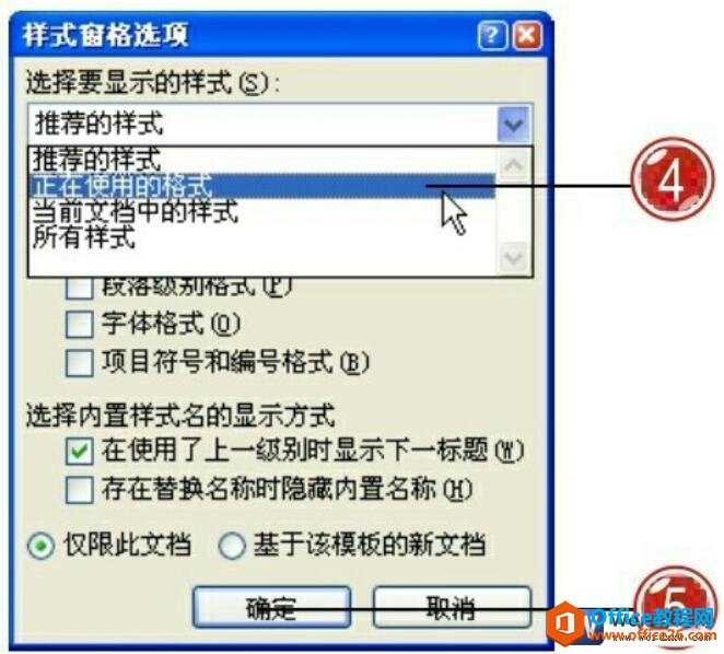 word2007样式窗格选项