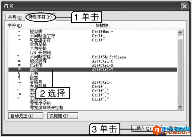 在word中插入特殊字符