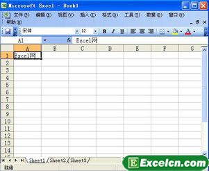 Excel2003输入文本