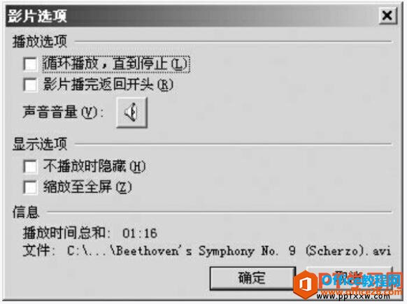 ppt2003影片选项对话框