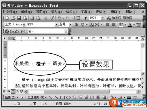 word2003文本效果设置