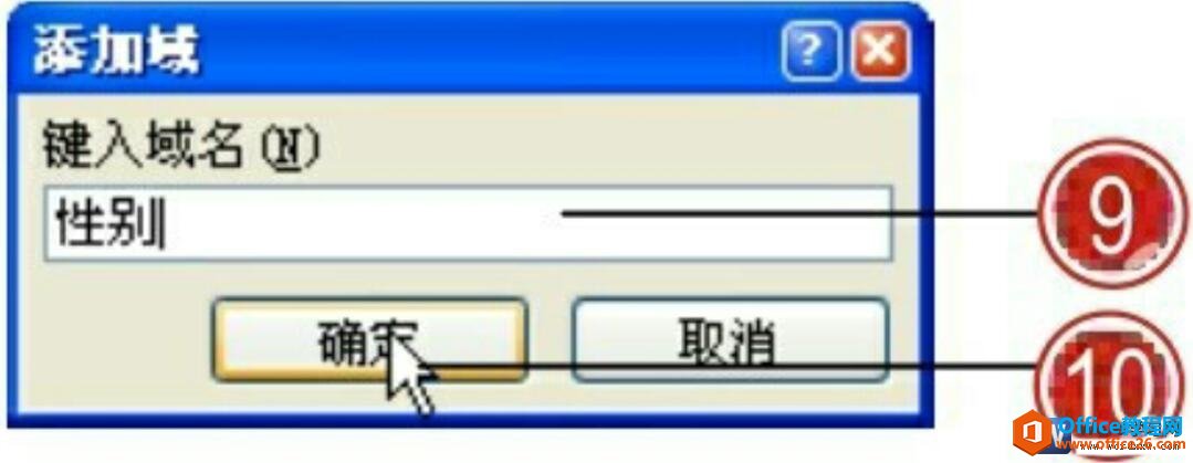 word2007添加域对话框