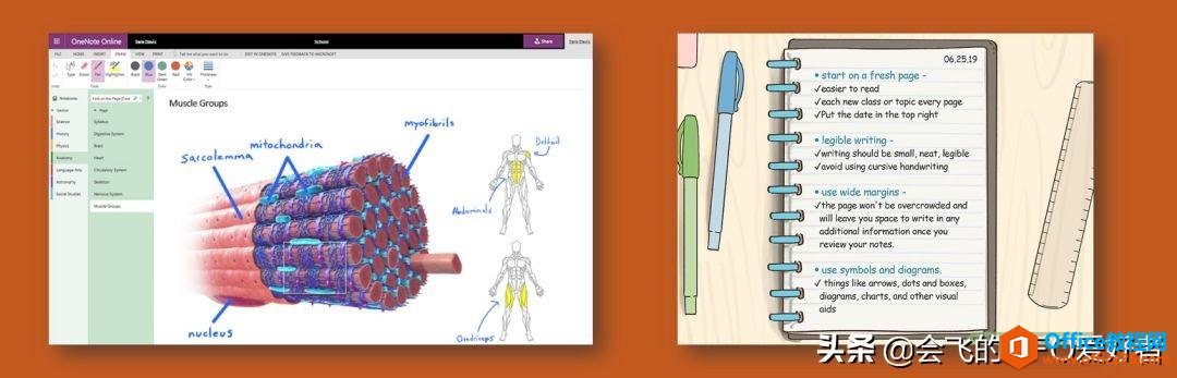 OneNote为什么在 PC端无敌？
