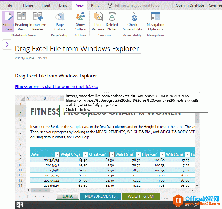 OneNote UWP 显示附件为一个链接，链接下方显示文件的预览图。