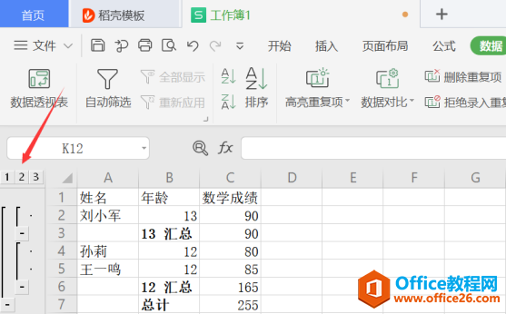 表格技巧—如何查看Excel 中分类汇总数据后的明细数据