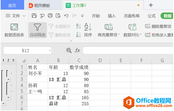 表格技巧—如何查看Excel 中分类汇总数据后的明细数据