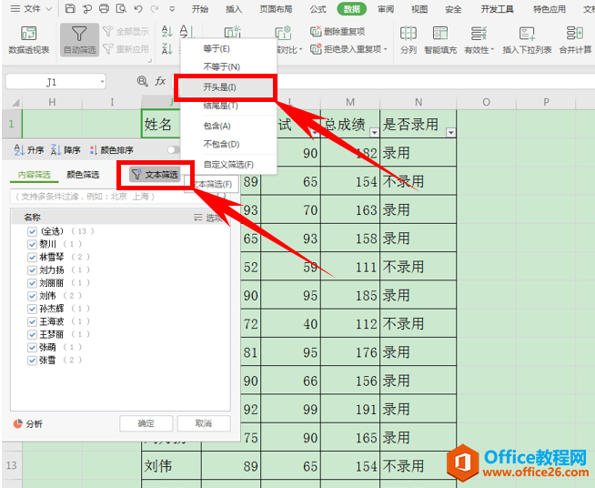 表格技巧—Excel表格模糊筛选功能的用法