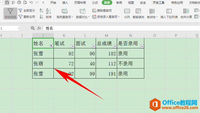 表格技巧—Excel表格模糊筛选功能的用法