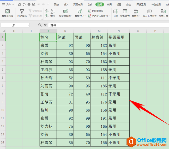 表格技巧—Excel表格模糊筛选功能的用法