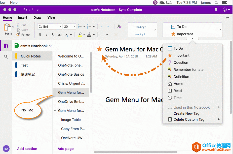 OneNote 原生标记无法在页面列表中显示 