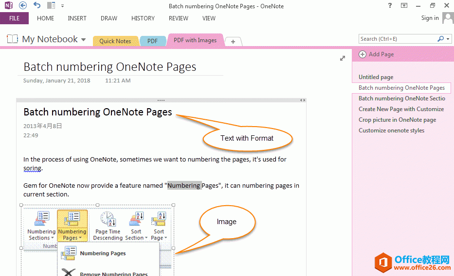 PDF 在 OneNote 里以格式的文本和图片显示