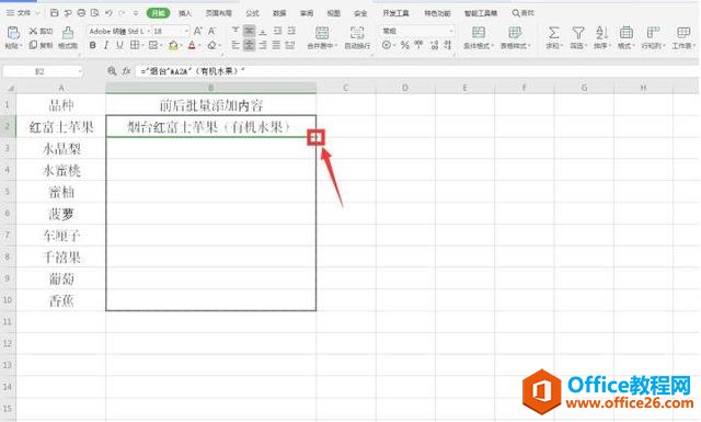 Excel表格技巧—Excel如何在文字前后批量添加内容