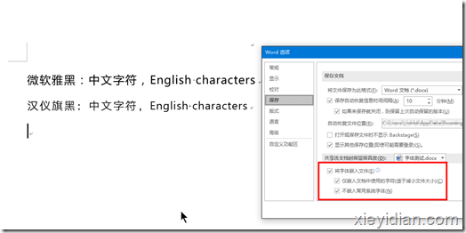 Word 文档的实际内容