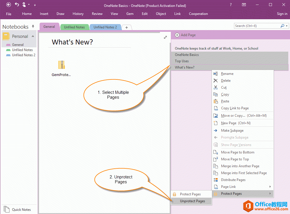 一次解密多个选中的 OneNote 页面 