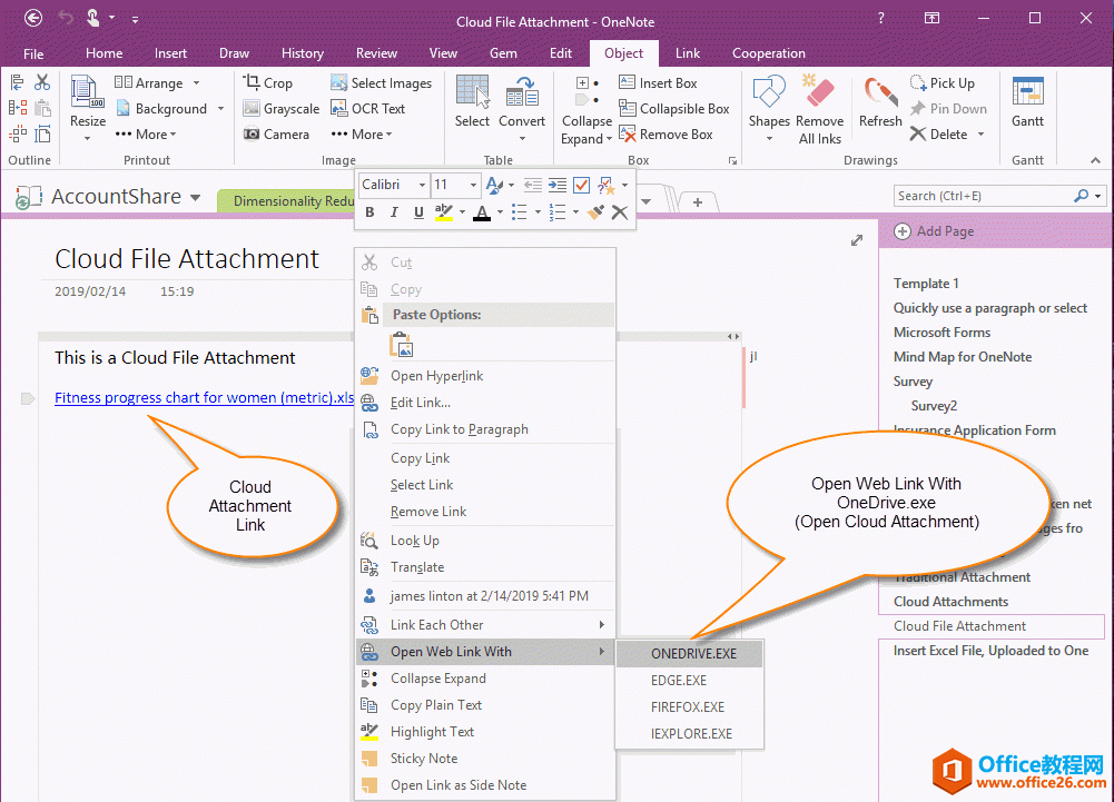 在 OneNote 2016, 2013, 2010 里打开云附件 