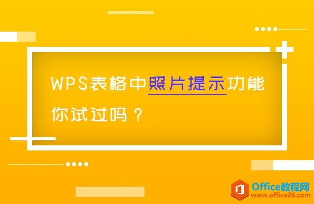 WPS 表格技巧—WPS表格中的照片提示功能