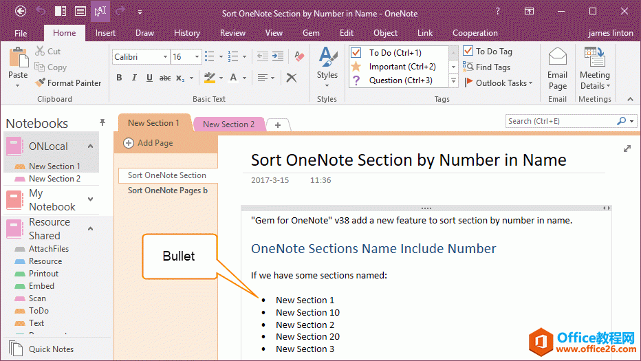 OneNote 笔记的项目符号