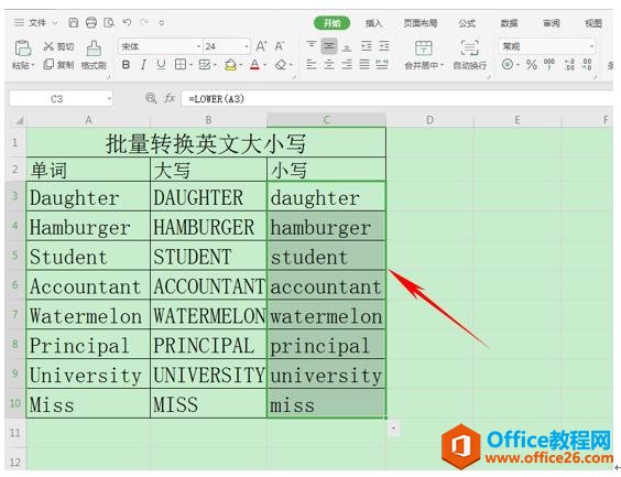 WPS表格技巧—如何批量转换英文大小写