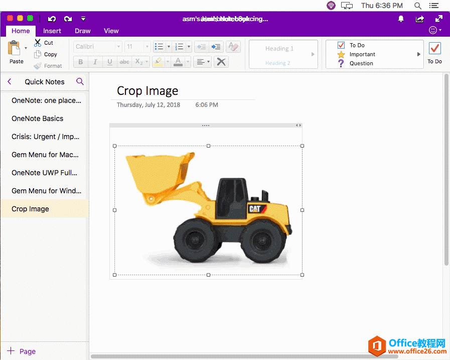 Mac OneNote 里显示的剪裁了的图片