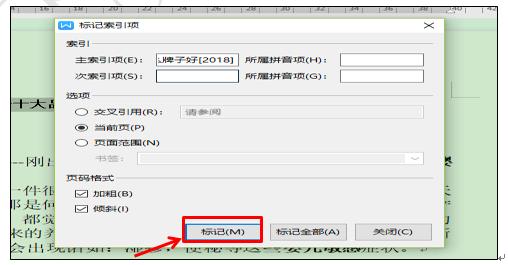 WPS文字技巧—如何利用WPS文字中的小工具插入索引