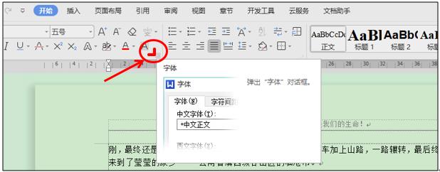 WPS应用技巧—Word文档如何加着重号