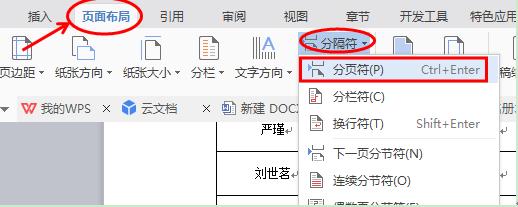 WPS文字中分页符的运用