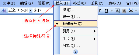 打开插入特殊符号