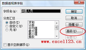 Excel2003数据透视表字段对话框