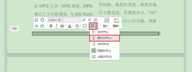WPS文字技巧—文档分栏后如何按栏添加页码