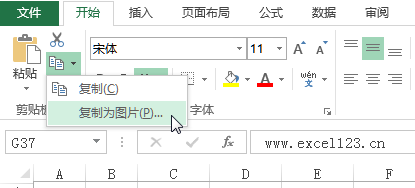 Excel2013中的“复制为图片”命令