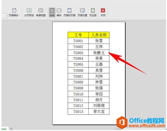 WPS表格办公—改变表格打印视图效果