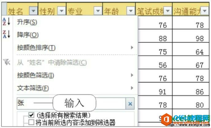 excel2010输入关键字筛选方法