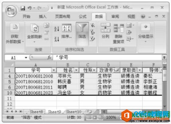 excel2007通过通配符筛选的结果