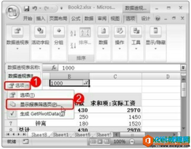 excel2007数据透视表工具