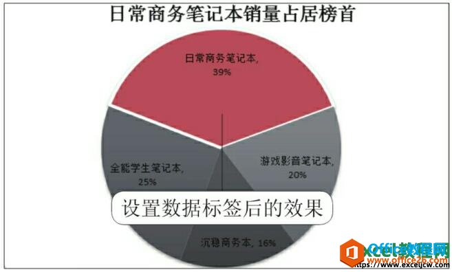 excel2010设置显示数据标签后的效果